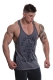 Golds Gym Muscle Joe Tonal Panel Stringer