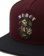 Cayler & Sons WL Mercy Snapback Cap