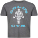 Golds Gym Muscle Joe T-Shirt Grau/Türkis