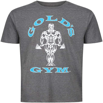 Golds Gym Muscle Joe T-Shirt Grau/Türkis M