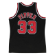 Mitchell & Ness NBA Swingman Jersey 2.0 Chicago Bulls S.Pippen #33