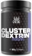 Gym King Cluster Dextrin 1kg Dose