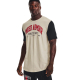 Under Armour UA Athletic Department Colorblock T-Shirt Stone-Red