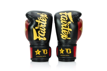 Fairtex FXB Boxhandschuhe V2