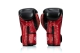 Fairtex FXB Boxhandschuhe V2