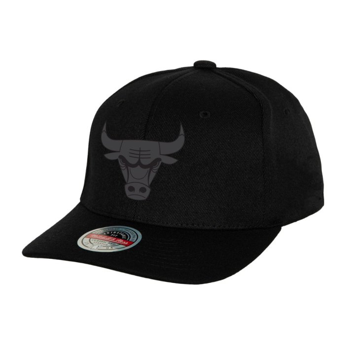 Chicago Bulls